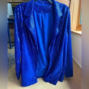 Blue Sparkly Jacket! Eras Tour Party?!?!